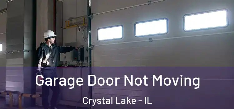  Garage Door Not Moving Crystal Lake - IL