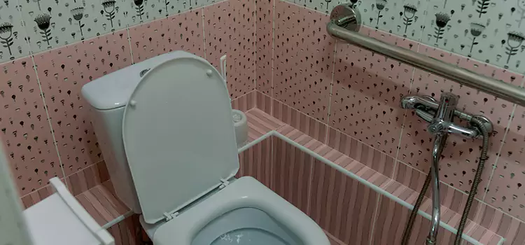 Meeting Diverse Needs With Accessible Restroom Solutions in Crystal Lake, IL