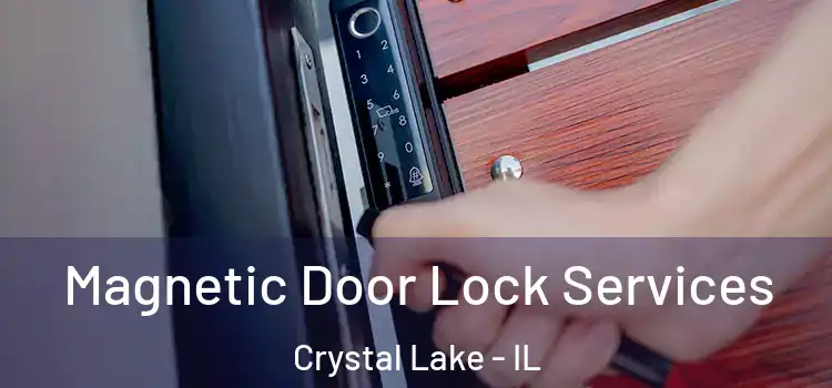 Magnetic Door Lock Services Crystal Lake - IL